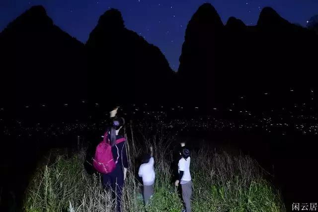 栀子落星海