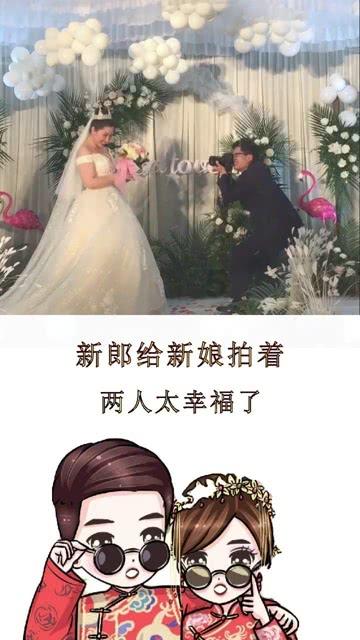 动物拼一拼
