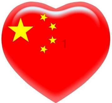 金刚鹦鹉逃生